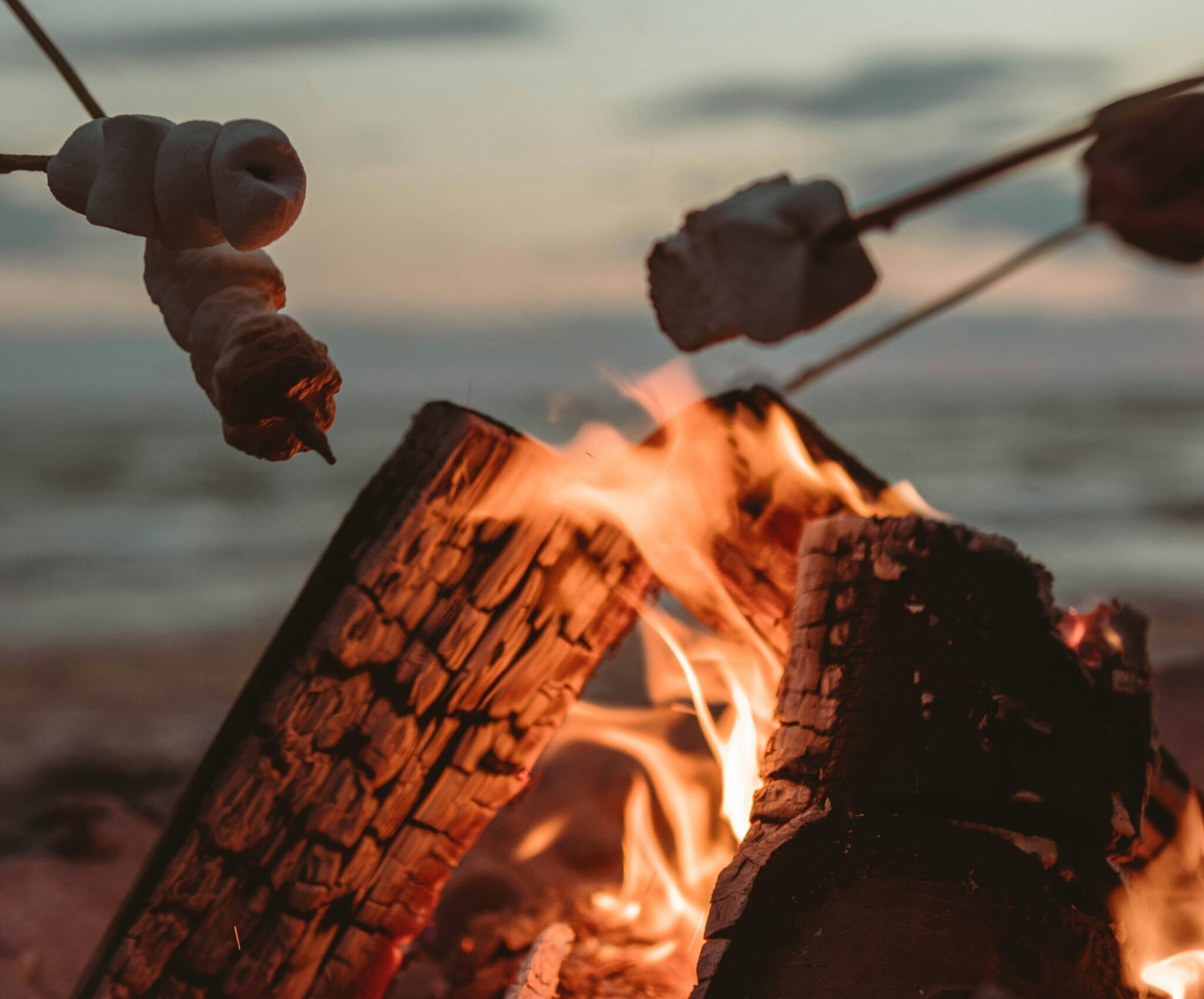 Bonfire Bonfire